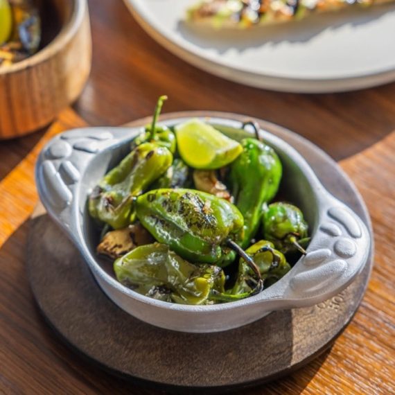 Provoletera Porteña Térmica